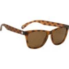 Eye Opener Sunglasses -Satorisan Swimwear Store 714820 01